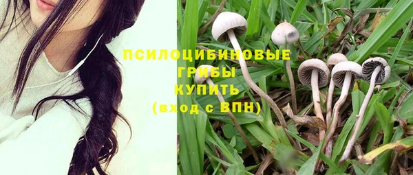 гидропоника Волоколамск