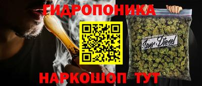 прущие грибы Можга