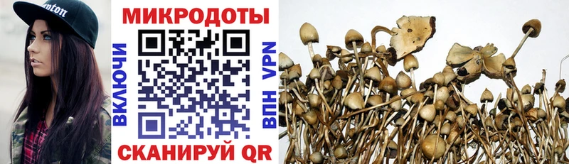 Галлюциногенные грибы GOLDEN TEACHER  Петрозаводск 