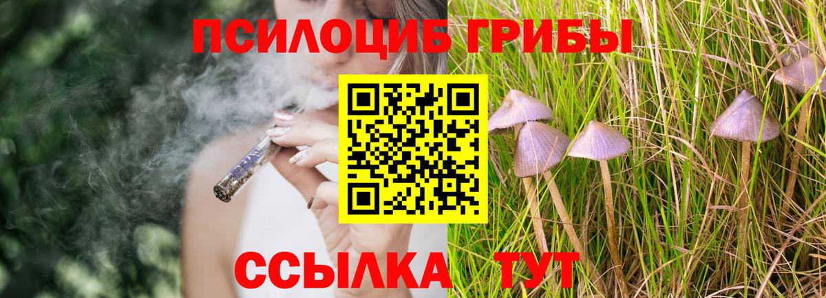 Галлюциногенные грибы GOLDEN TEACHER  Вход с VPN  Петрозаводск 