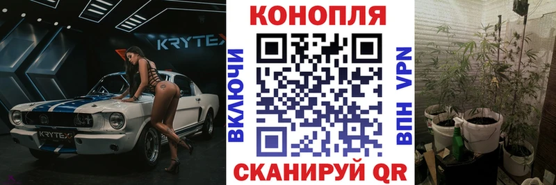 Конопля тримм Петрозаводск
